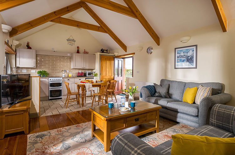 open plan living area