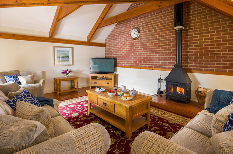 living room with log burner